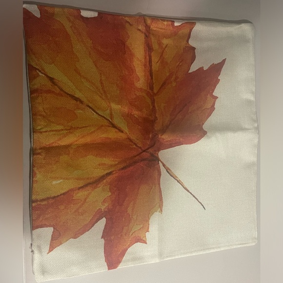 Set of 4 Pillow Covers - Picture 6 of 6